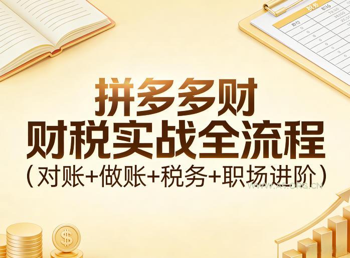 拼多多财税实战全流程(对账+做账+税务+职场进阶)-小红泡