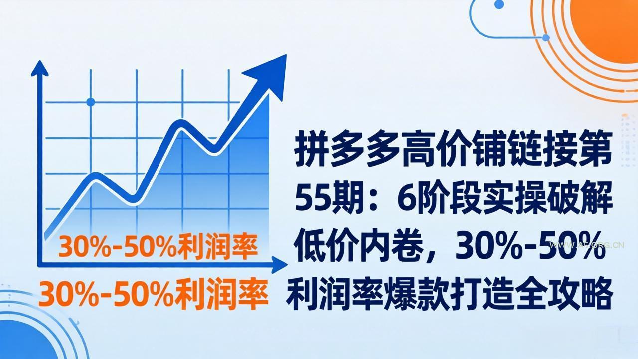 拼多多高价铺链接第55期:6阶段实操破解低价内卷,30%-50%利润率爆款打造全攻略-小红泡