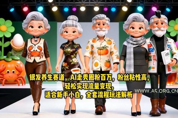 银发养生赛道,AI走秀圈粉百万,粉丝粘性高,轻松实现流量变现,适合新手小白,全套流程玩法解析-小红泡