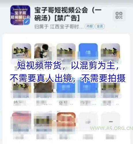 宝子哥头部团队短视频带货,以混剪为主,不需要真人出镜,不需要拍摄【更新26年3月】-小红泡