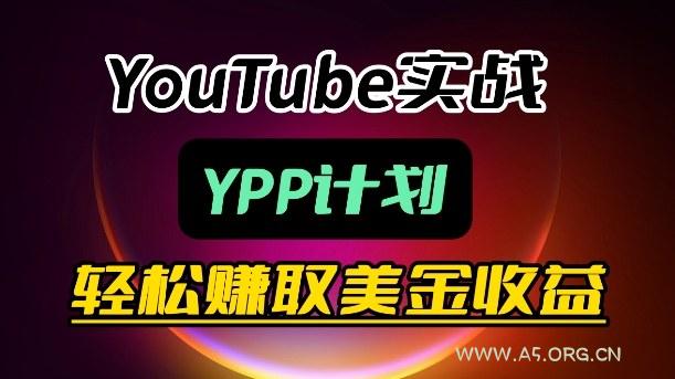 麦子甜带你玩转YouTube(YPP):月入过1W实操课-小红泡