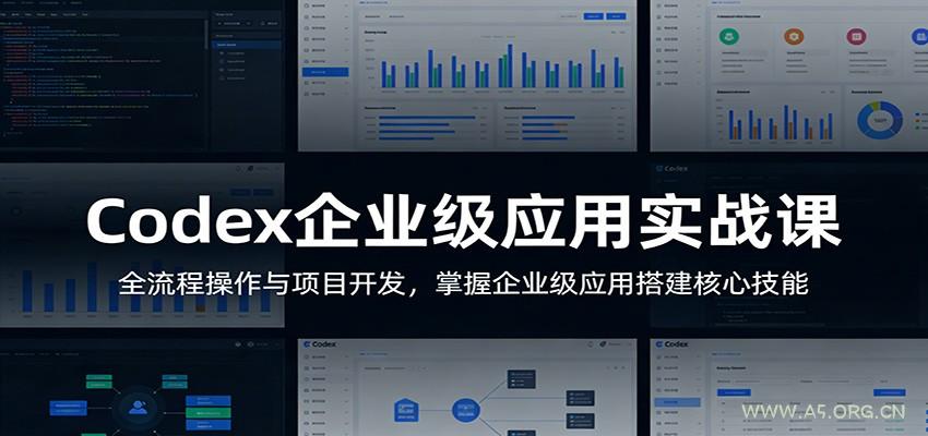 Codex企业级应用实战课:全流程操作与项目开发,掌握企业级应用搭建核心技能-小红泡