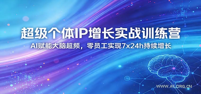 超级个体IP增长实战训练营：AI赋能大脑超频，零员工实现7x24h持续增长(更新)-小红泡