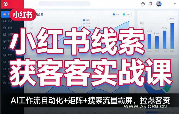 小红书线索获客实战课,AI工作流自动化+矩阵+搜索流量霸屏,拉爆客资-小红泡