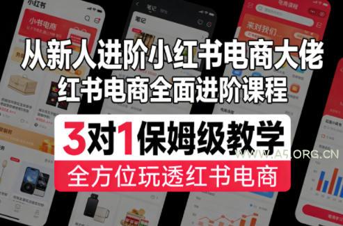 从新人进阶小红书电商大佬,红书电商全面进阶课程,3对1保姆级教学,全方位玩透红书电商-小红泡