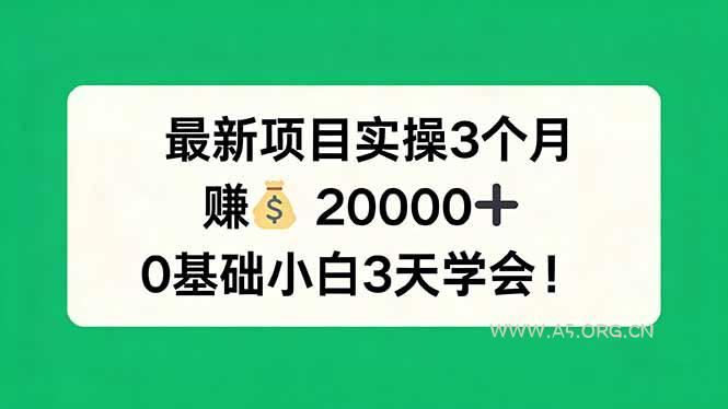 最新项目实操3个月，赚钱20000+，0基础小白3天学会！-小红泡