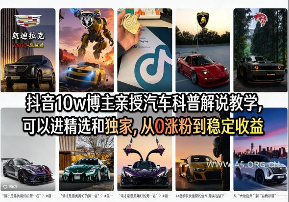 抖音10w博主亲授汽车科普解说教学，可以进精选和独家，从0涨粉到稳定收益(详细视频课程+1T素材)-小红泡