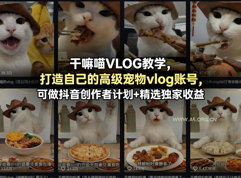 干嘛喵VLOG教学,打造自己的高级宠物vlog账号,可做抖音创作者计划+精选独家收益-小红泡