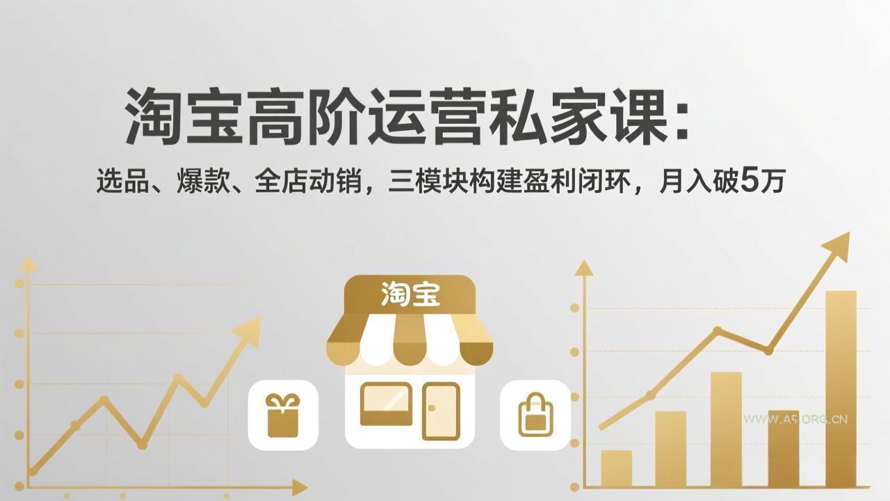 淘宝高阶运营私家课(更新26年4月-小红泡