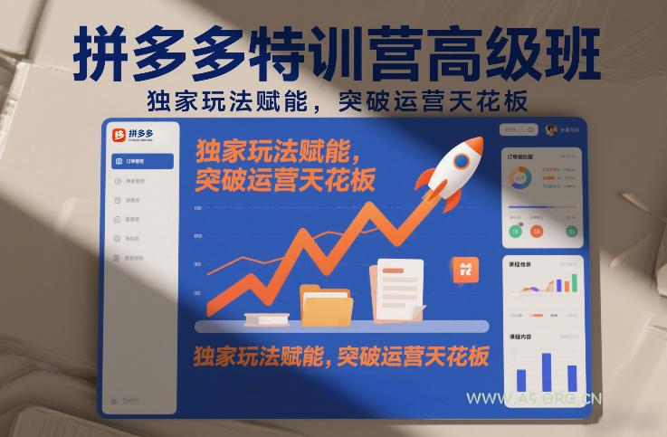 拼多多特训营高阶班,独家玩法赋能,突破运营天花板(更新26年4月10日)-小红泡