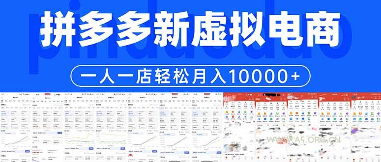 拼多多虚拟电商一人一店轻松月入10000+-小红泡