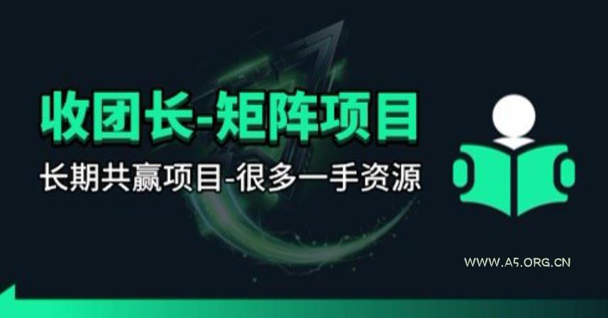 【团长合作】视频矩阵项目_招发手矩阵+剪辑师,共赢项目【揭秘】-小红泡