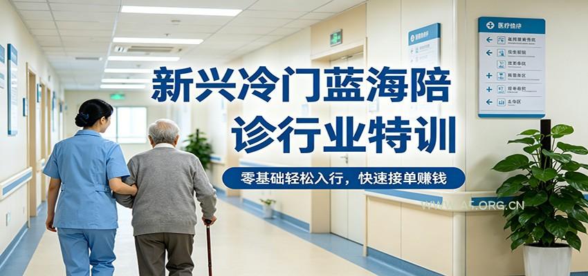 新兴冷门蓝海陪诊行业特训,零基础轻松入行,快速接单赚钱-小红泡