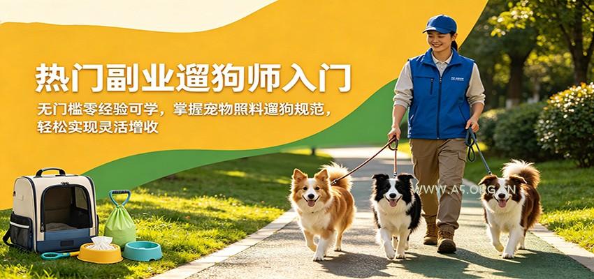 热门副业遛狗师入门,无门槛零经验可学,掌握宠物照料遛狗规范,轻松实现灵活增收-小红泡