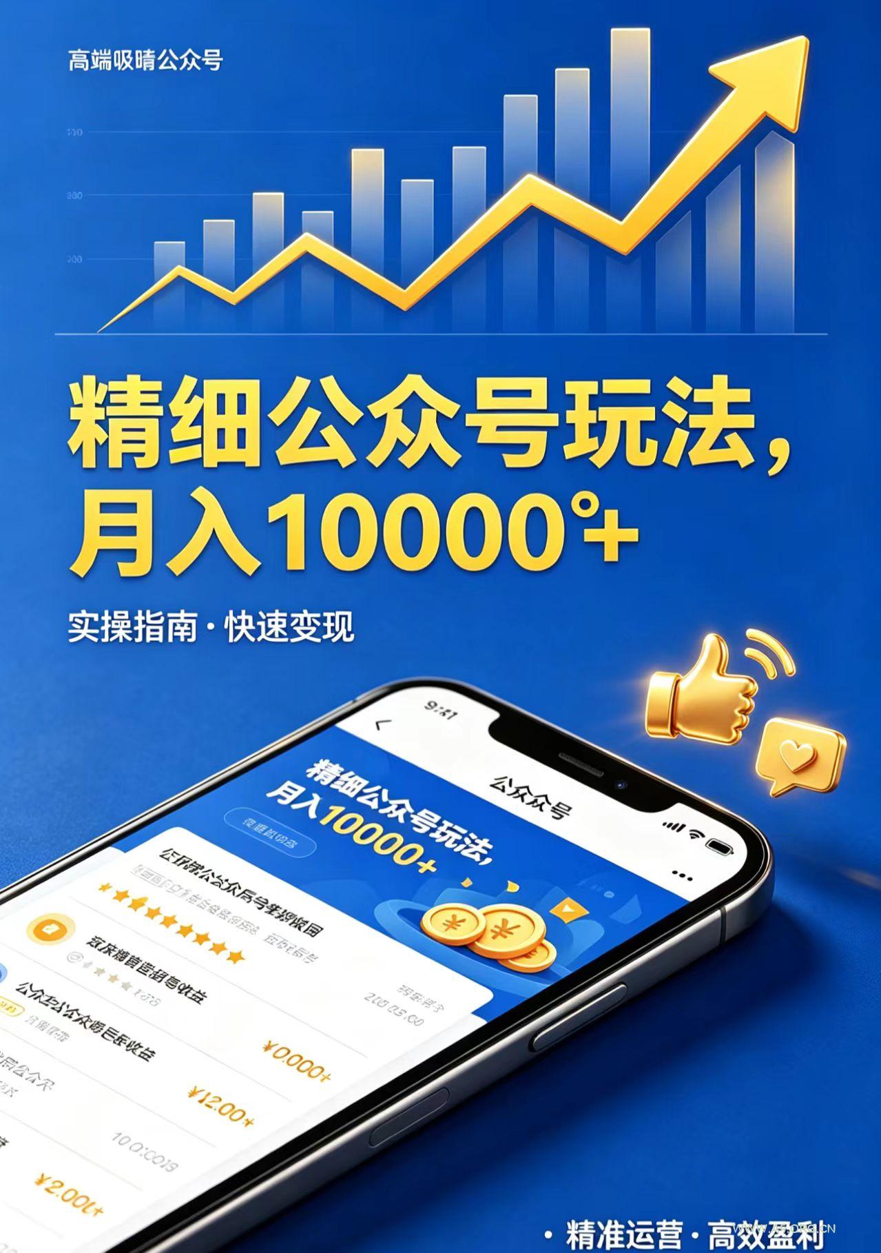 精细公众号玩法,月入10000+,实操指南,快速变现-小红泡