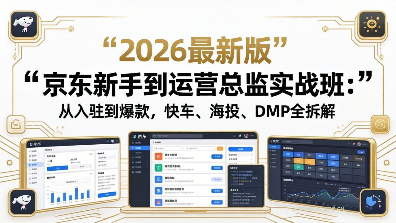 京东新手到运营总监实战班:从入驻到爆款,快车、海投、DMP全拆解,2026最新版-小红泡