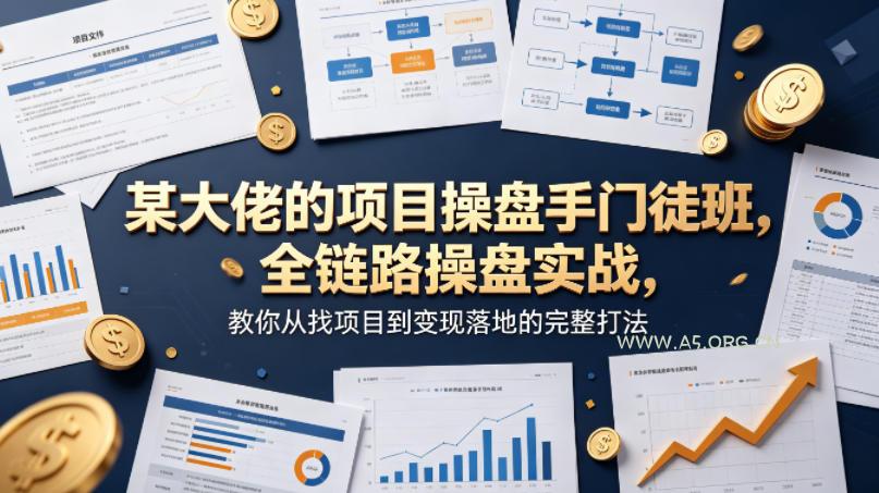 某大佬的项目操盘手门徒班,全链路操盘实战,教你从找项目到变现落地的完整打法-小红泡