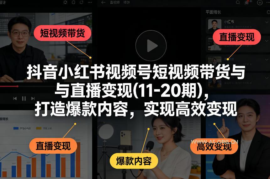 抖音小红书视频号短视频带货与直播变现(10-21期)，打造爆款内容，实现高效变现(更新05月08日)-小红泡