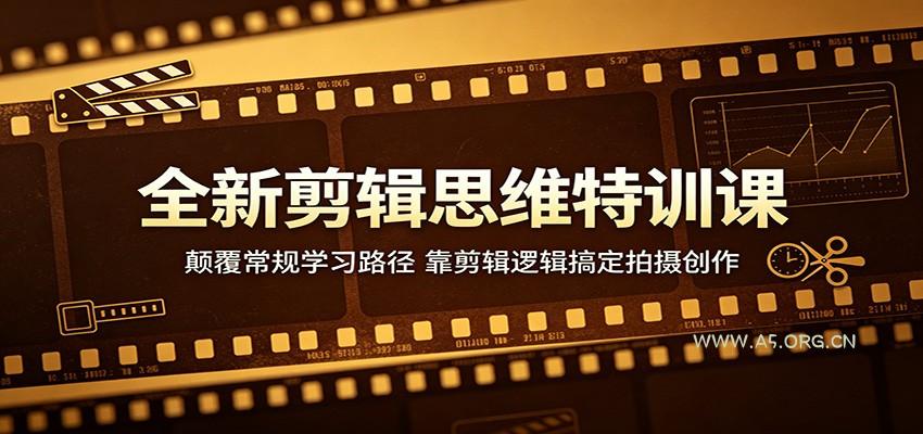 全新剪辑思维特训课:颠覆常规学习路径,靠剪辑逻辑搞定拍摄创作-小红泡
