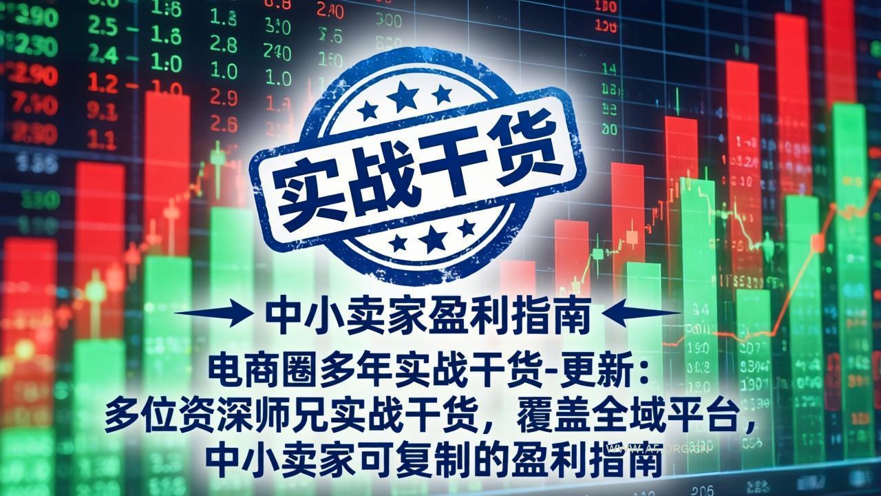 电商圈多年实战干货-更新5月10：多位资深师兄实战干货/覆盖全域平台，中小卖家可复制的盈利指南-小红泡