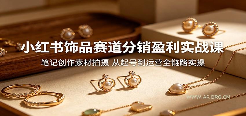 小红书饰品赛道分销盈利实战课：笔记创作素材拍摄，从起号到运营全链路实操-小红泡