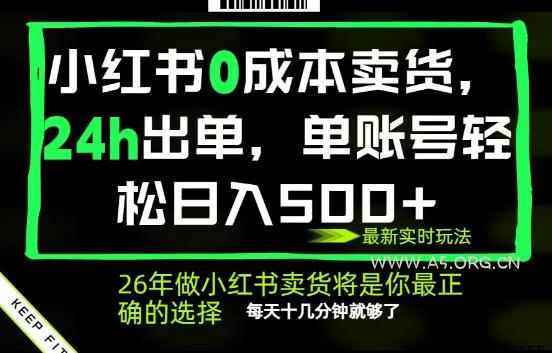 小红书0成本AI卖货,24小时出单,全流程托管,保底日入500+,每天十几分钟就够了【揭秘】-小红泡