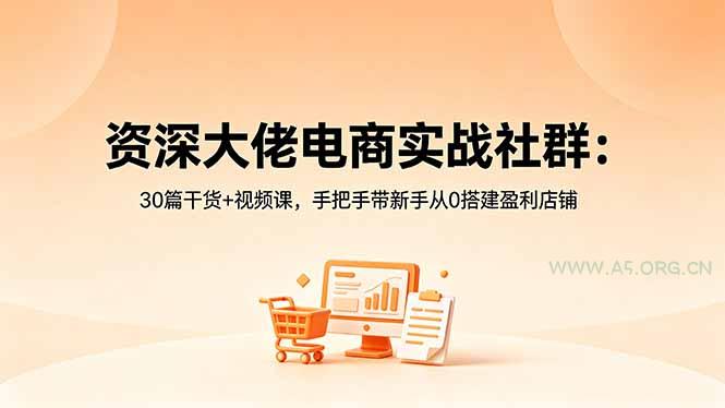资深大佬电商实战社群:30篇干货+视频课,手把手带新手从0搭建盈利店铺-小红泡