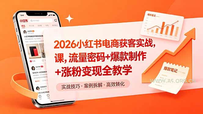 2026小红书电商获客实战课，流量密码+爆款制作+涨粉变现全教学-小红泡