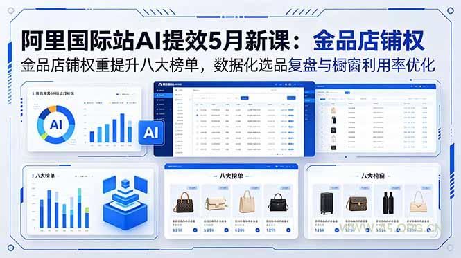 阿里国际站AI提效5月新课：金品店铺权重提升八大榜单，数据化选品复盘与橱窗利用率优化-小红泡