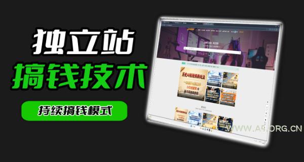 干货来袭!麦子甜带你吃透独立站|从搭建到引流一站式教学《独立站》第一期-小红泡