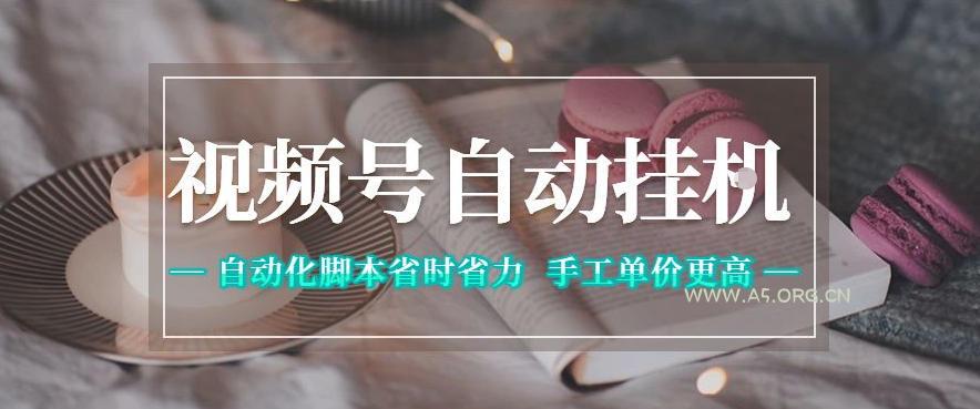 视频号自动挂G项目,自动化脚本省时省力,手工单价更高,日入300+全网最稳【揭秘】-小红泡