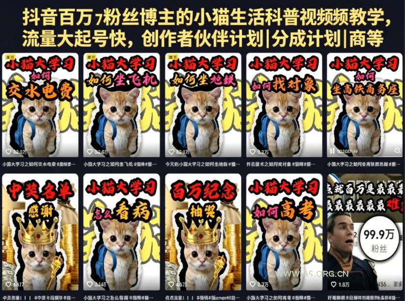 抖音百万粉丝博主的小猫生活科普视频教学,流量大起号快,创作者伙伴计划|分成计划|商单|收徒等-小红泡