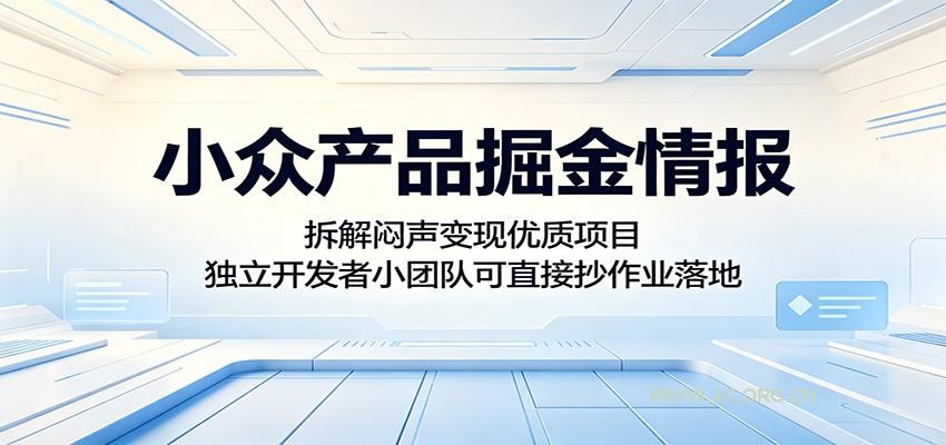 小众产品掘金情报：拆解闷声变现优质项目，独立开发者小团队可直接抄作业落地-小红泡