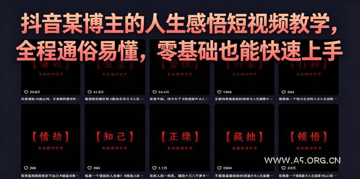 抖音某博主的灰太狼人生感悟短视频教学,全程通俗易懂,零基础也能快速上手-小红泡
