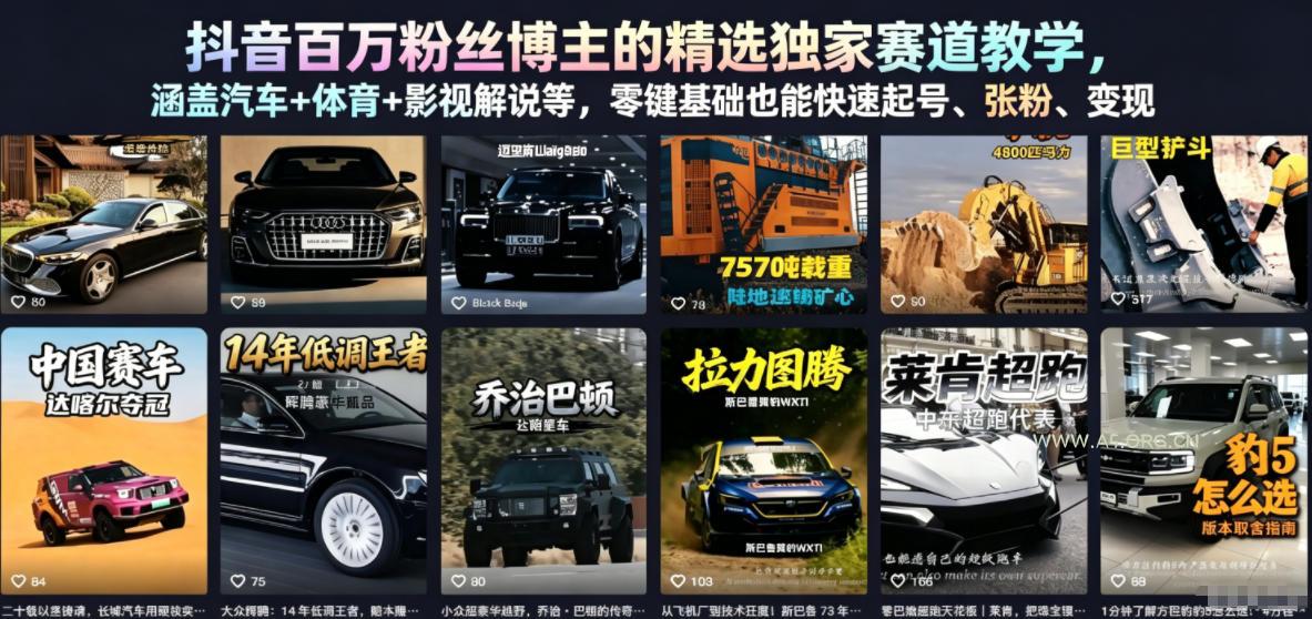 抖音百万粉丝博主的精选独家赛道教学,涵盖汽车+体育+影视解说等,零基础也能快速起号、涨粉、变现-小红泡