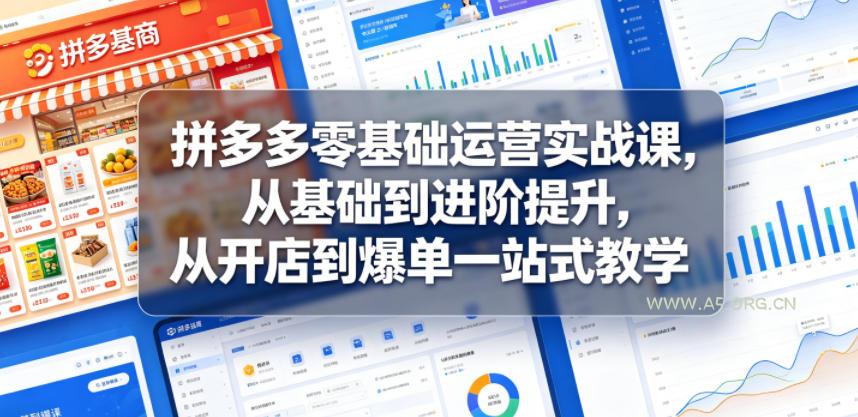 拼多多零基础运营实战课,从基础到进阶提升,从开店到爆单一站式教学-小红泡