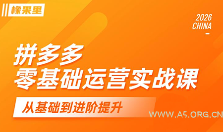 仙道电商·拼多多零基础运营实战课-小红泡