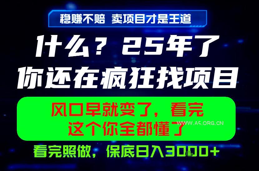 26年，请不要疯狂的找项目做了！卖项目才是真的稳賺不赔，看完照做，保底日入1k+【揭秘】-小红泡