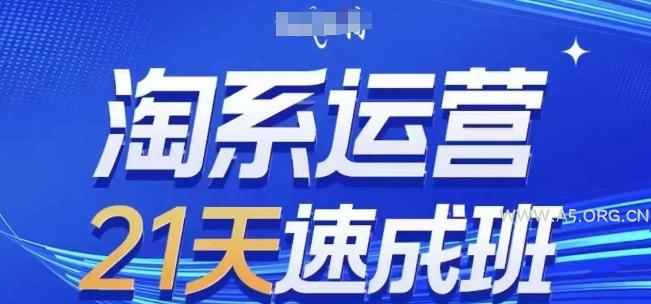 淘系运营21天速成班,0基础轻松搞定淘系运营,不做假把式,快速复制落地(更新26年6月)-小红泡