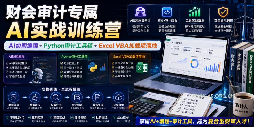 财会审计专属AI实战训练营｜AI协同编程+Python审计工具箱+Excel VBA加载项落地-小红泡