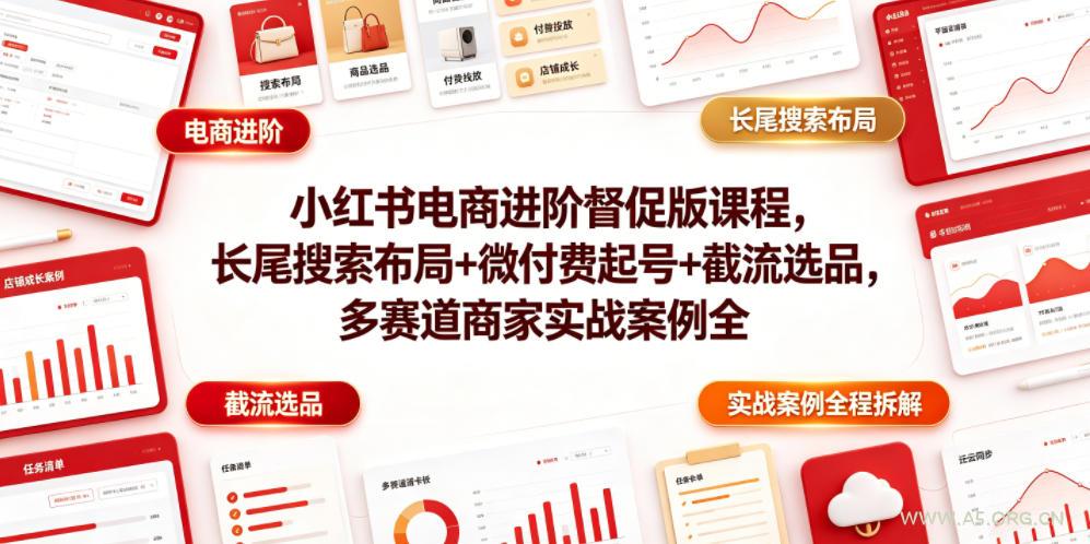 小红书电商进阶督促版课程，长尾搜索布局+微付费起号+截流选品，多赛道商家实战案例全程拆解-小红泡