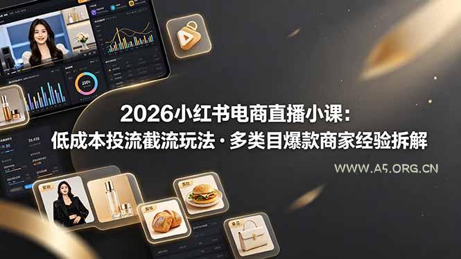 2026小红书电商直播小课，低成本投流截流玩法，多类目爆款商家经验完整拆解教学-小红泡