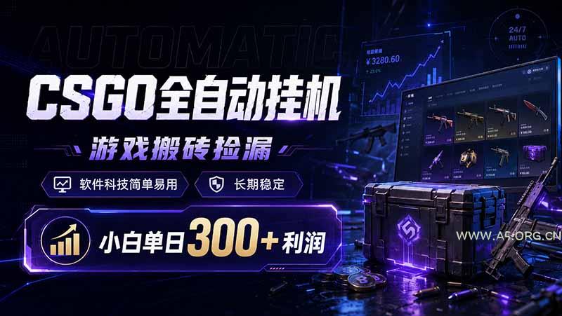 CSGO全自动挂机，游戏搬砖捡漏，软件科技简单易用，长期稳定，小白单日300+利润-小红泡