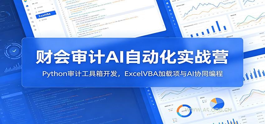 财会审计AI自动化实战营：Python审计工具箱开发，ExcelVBA加载项与AI协同编程-小红泡