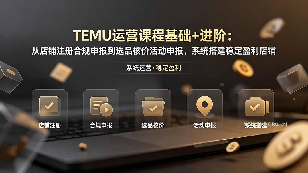 TEMU运营课程(基础+进阶-小红泡