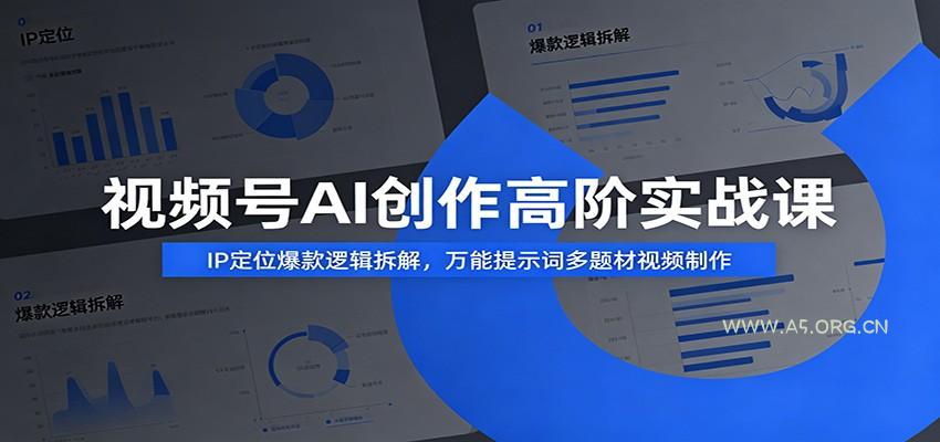 视频号AI创作高阶实战课:IP定位爆款逻辑拆解,万能提示词多题材视频制作-小红泡