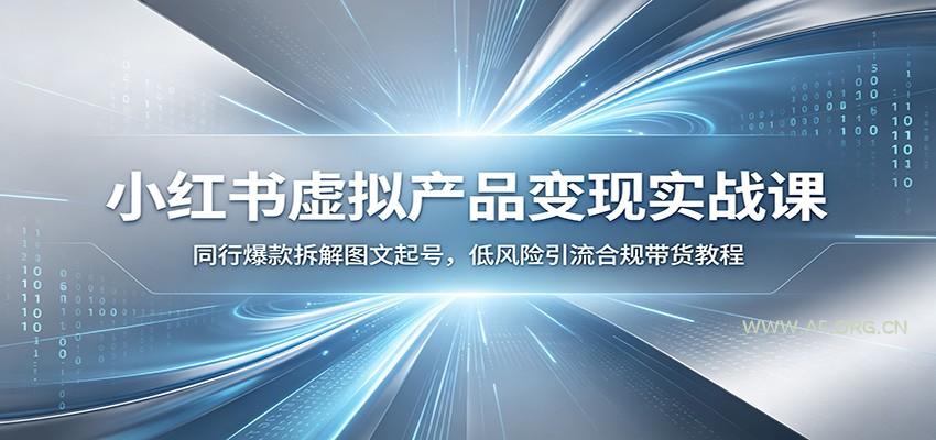 小红书虚拟产品变现实战课：同行爆款拆解图文起号，低风险引流合规带货教程-小红泡