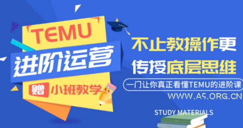 阿卡林·TEMU运营课程(基础+进阶)-小红泡