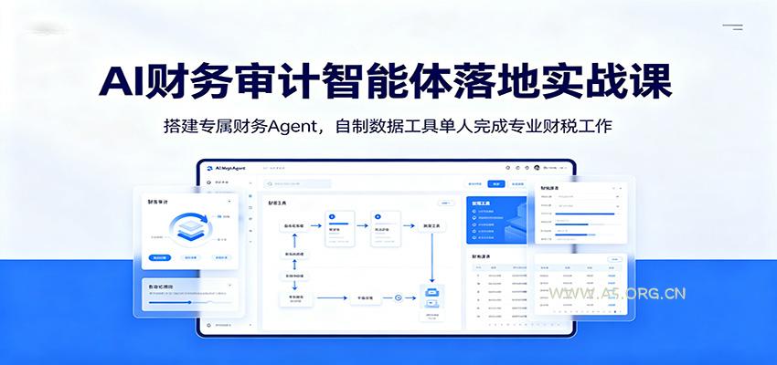 AI财务审计智能体落地实战课:搭建专属财务Agent,自制数据工具单人完成专业财税工作-小红泡