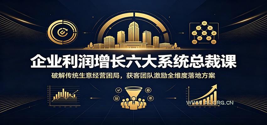 企业利润增长六大系统总裁课:破解传统生意经营困局,获客团队激励全维度落地方案-小红泡